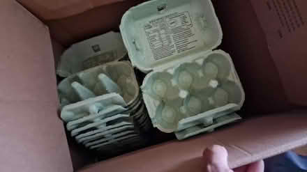 Photo of free Empty egg boxes (Earl Shilton, LE9) #1