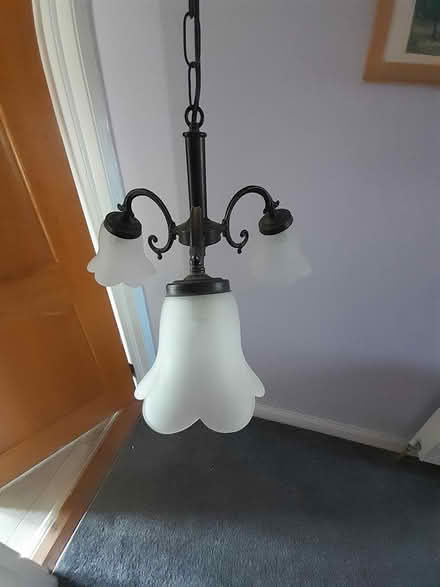 Photo of free 3 light chandelier (Rathdrum) #2