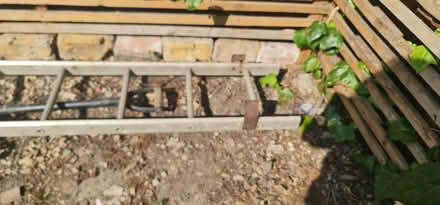 Photo of free Ladder (Furzedown SW17) #2