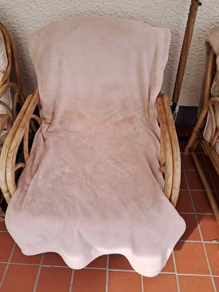 Photo of free Cane Conservatory Chairs - Ludgvan (Penzance TR20) #1