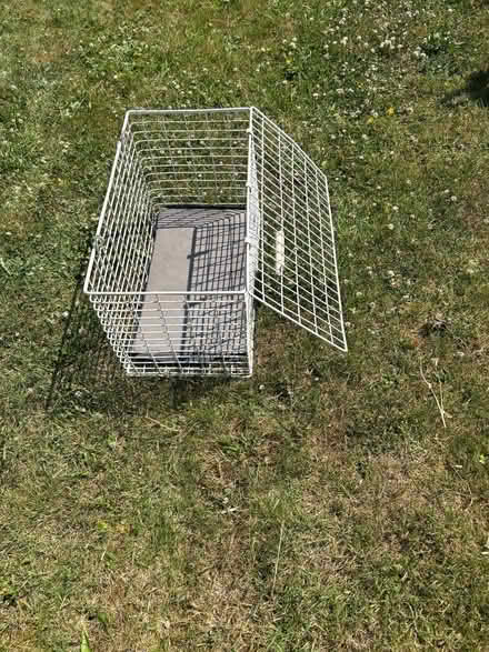 Photo of free Cat or small animal basket for transport (Downend GL6) #2