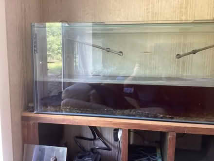 Photo of free Fish Tank (Kirkby Lonsdale) #1