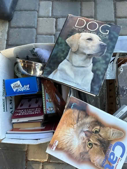 Photo of free Two boxes of different treasures (Coyote Valley) #2