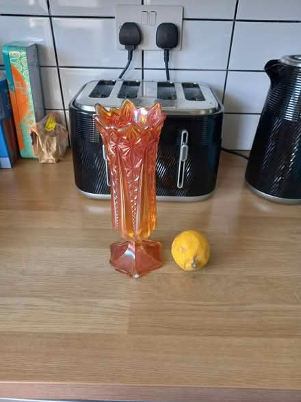 Photo of free Beautiful Vase (Roundhill area brighton) #1