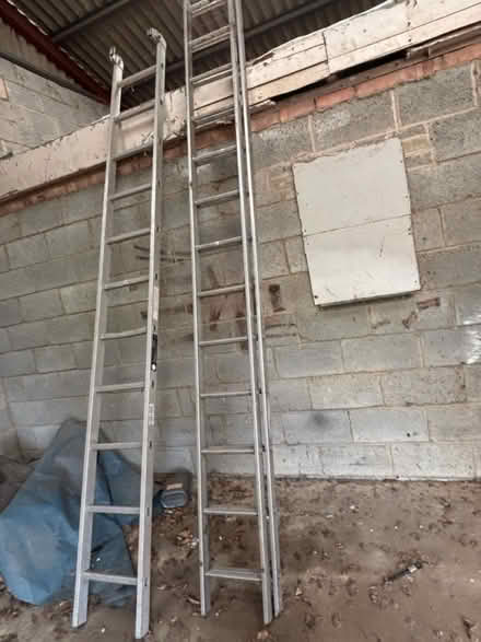 Photo of free Tall ladders (PE12) #1
