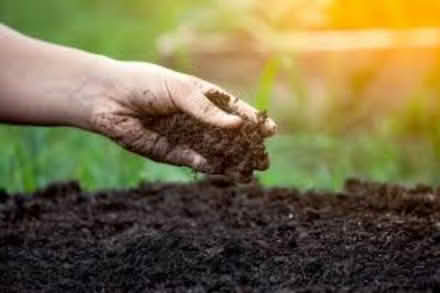 Photo of Compost for hospital garden (Southbourne BH6) #1