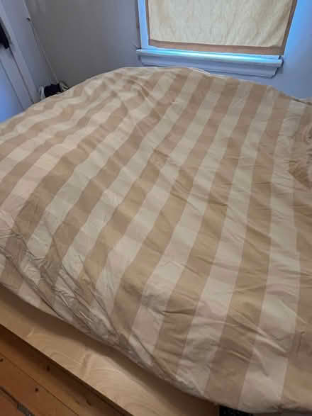 Photo of free Goose down duvet & cover (Hintonburg) #1