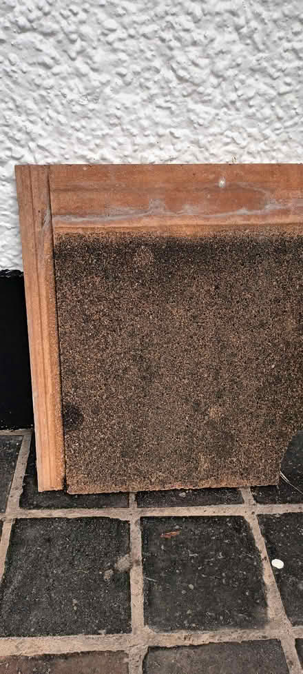 Photo of roof tiles (Willaston CW5) #1
