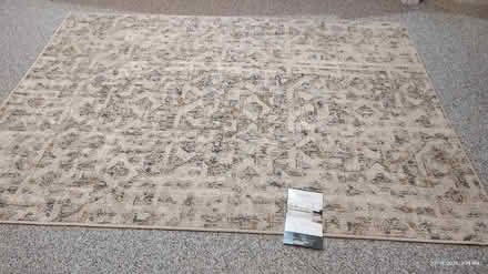 Photo of free 5x7foot area rug (Mount Prospect) #1