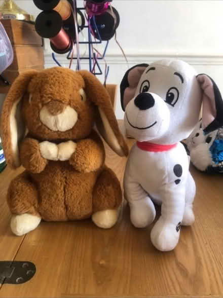 Photo of free Cute Soft Toys (Cheshunt En8) #1