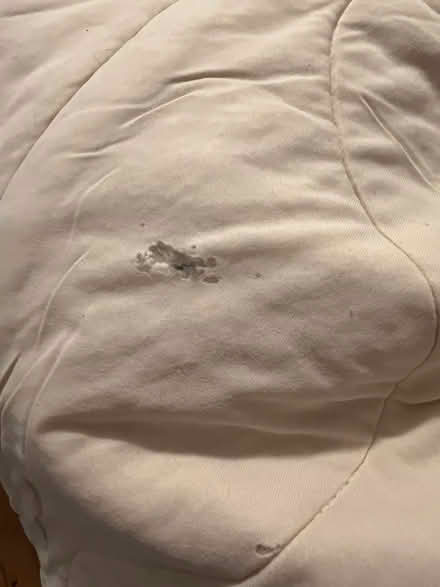 Photo of free Wearable comforter (Hintonburg) #3