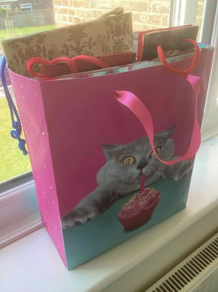 Photo of free Gift bags (Worle, Mead Vale) #1