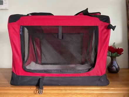 Photo of free PET Carrier (Hersham. Surrey) #2