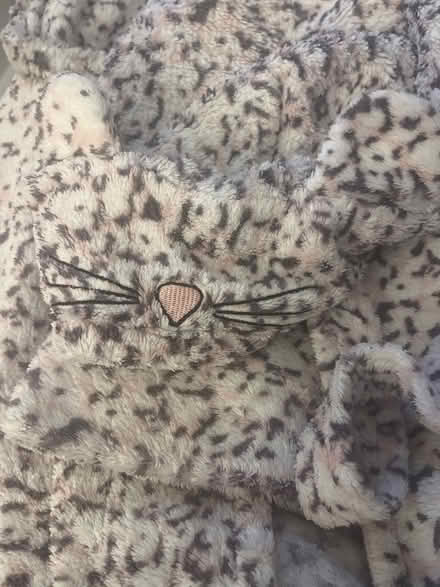 Photo of free Girls dressing gown 11/12 years River Island (Emscote Mill CV34) #2
