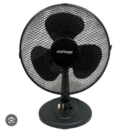 Photo of Fan (Five Ways SW19) #1