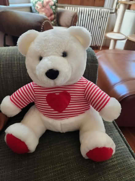 Photo of free Teddy bear with heart shirt (Capitol Hill, DC) #1