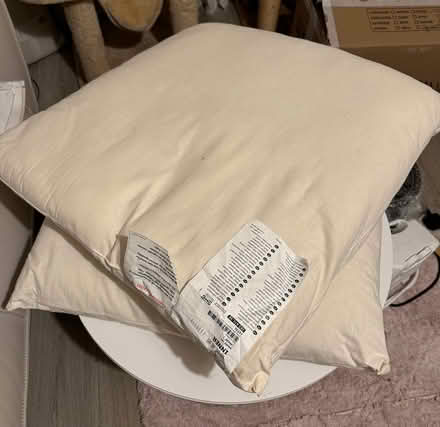 Photo of free Large Ikea cushions no covers SW18 (Wandsworth) #1