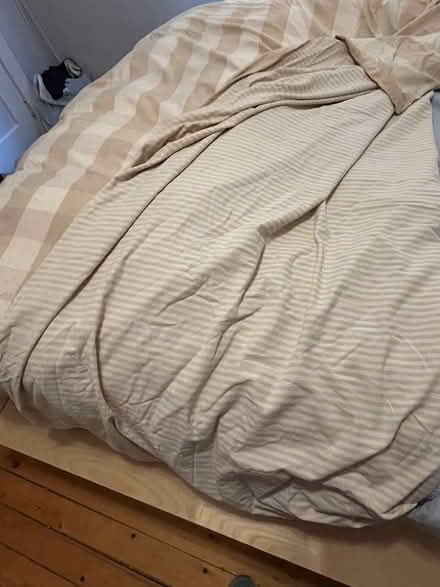Photo of free Goose down duvet & cover (Hintonburg) #2