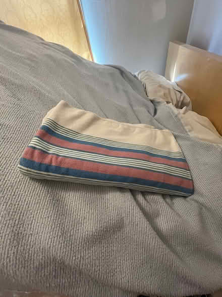 Photo of free Two unmatched flannel sheets (Hintonburg) #1