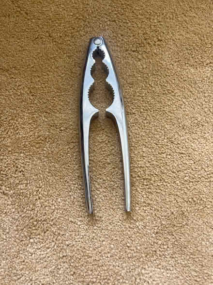 Photo of free Nutcracker (Blacklands TN34) #1