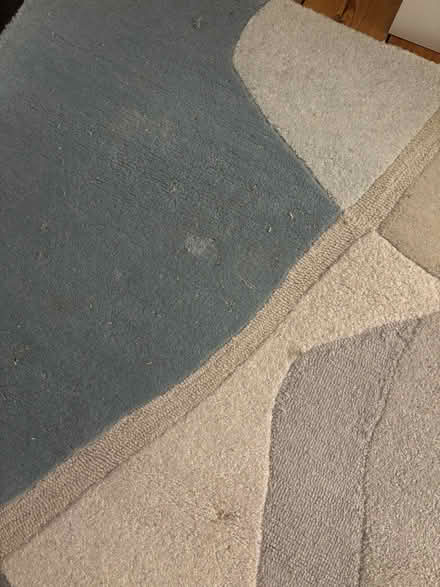 Photo of free Rug (Barons Court W14) #2