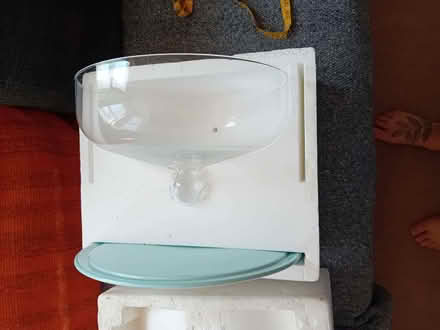 Photo of free Cheese/cake plate and glass cover (Hove Station area BN3) #2