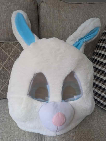 Photo of free Costume Bunny Head (Frederick, MD) #1