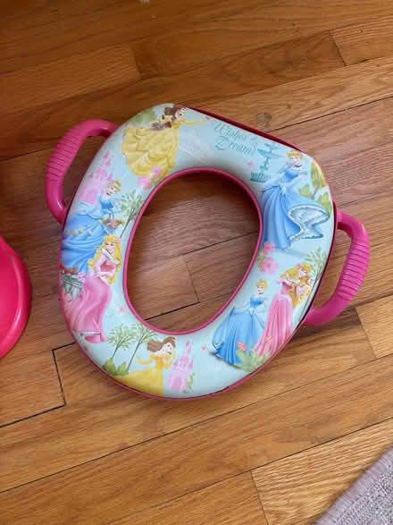 Photo of free Toddler potty and toilet insert (Forest Hills, Durham) #3