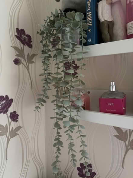 Photo of Artificial plants for a classroom (Malinslee TF4) #1