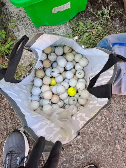 Photo of free Many golf balls (Fishponds BS16) #1