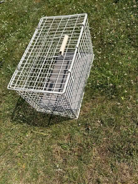 Photo of free Cat or small animal basket for transport (Downend GL6) #3