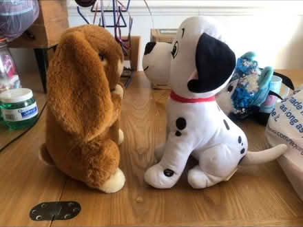 Photo of free Cute Soft Toys (Cheshunt En8) #2
