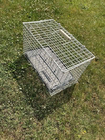 Photo of free Cat or small animal basket for transport (Downend GL6) #1