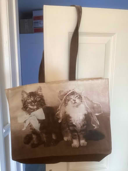 Photo of free Three shopping bags (Worle, Mead Vale) #1