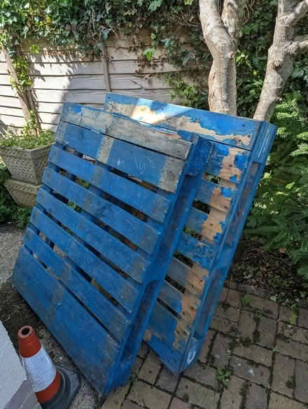 Photo of free 2 blue pallets (Sidmouth) #1