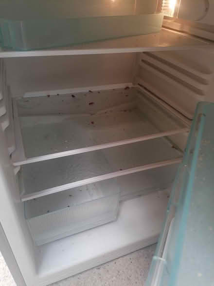 Photo of free Fridge (Parkstone BH14) #2