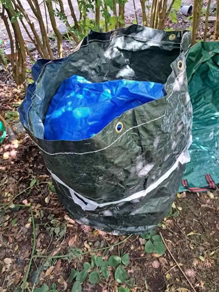 Photo of free strong bags for garden waste maybe (Moor Allerton LS17) #1