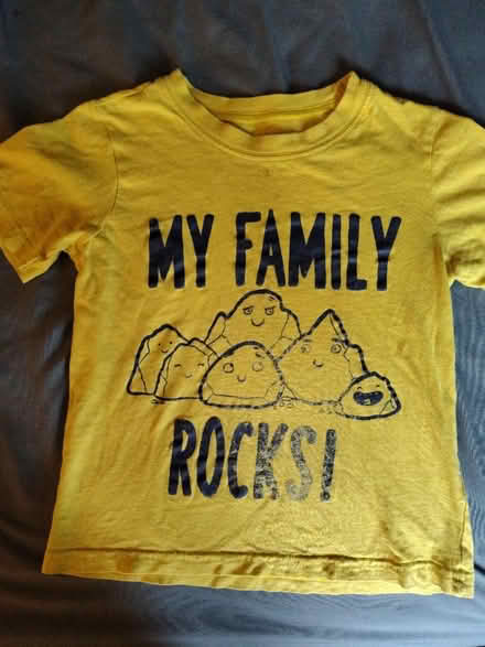 Photo of free Toddler shirt and boxes of clothes (M2J1Y3) #1