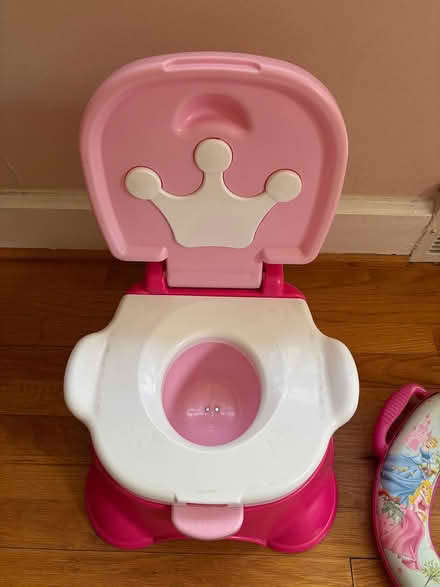 Photo of free Toddler potty and toilet insert (Forest Hills, Durham) #2
