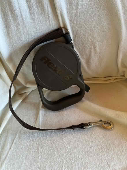 Photo of free Retracting dog leash (Clearlake Oaks) #1