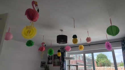 Photo of free Tropical Hawaiian party decorations (Crewe CW1) #4