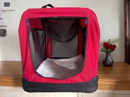 Photo of free PET Carrier (Hersham. Surrey) #3
