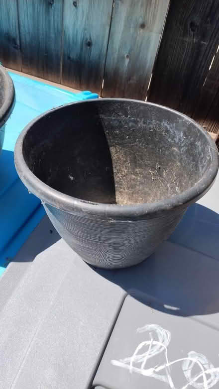Photo of free Plastic Plant Pots (Vacaville) #3