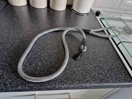 Photo of free animal feeder, dog lead, Boxes (Robin Hood WF3) #3
