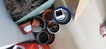 Photo of free Plastic plant pots and outer decorative pots (Rutherglen G73) #2