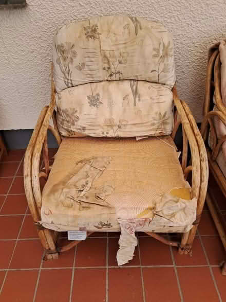 Photo of free Cane Conservatory Chairs - Ludgvan (Penzance TR20) #3