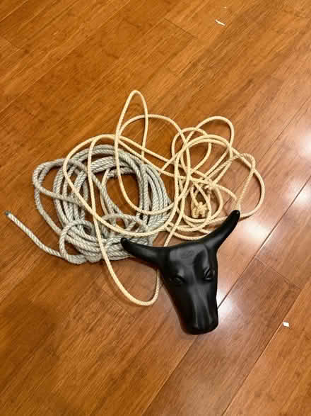 Photo of free 2 kid lassos w plastic bull head (95070) #1