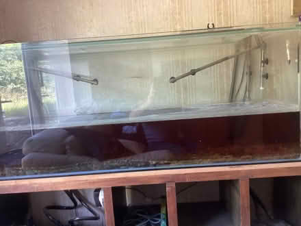 Photo of free Fish Tank (Kirkby Lonsdale) #2