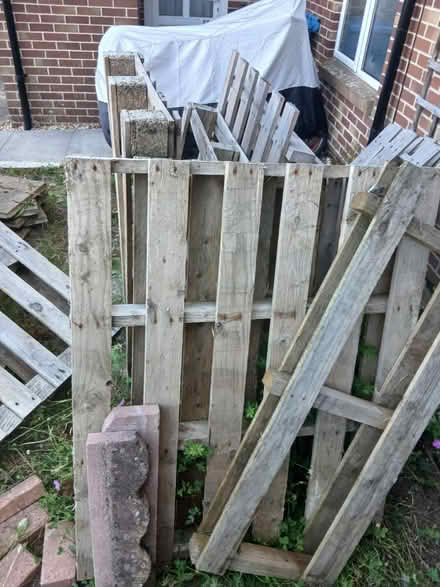 Photo of free Pallets and garden bits (Canford Heath, BH17 8) #2
