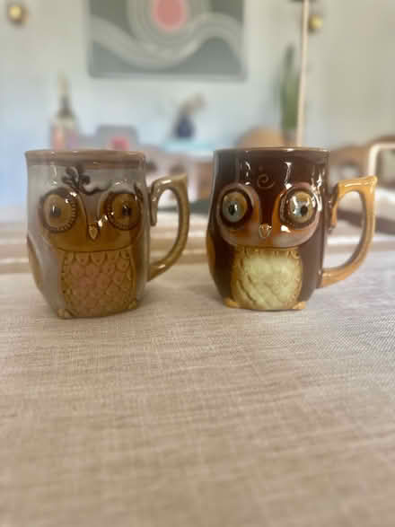 Photo of free Owl mugs (Malden) #1